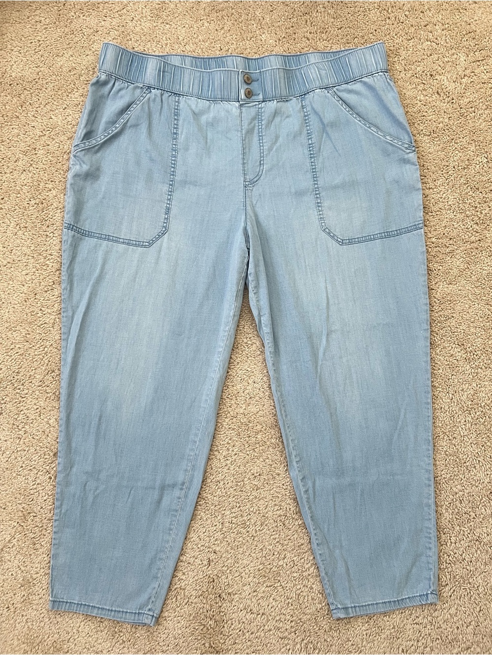 AnyBody Size 1X Petite Chambray Pull On Elastic Pants